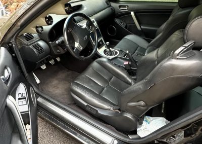 Mold Removal: Interior, Car, Infinite G35